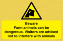 beware-farm-animals-can-be-dangerous-visitors-are-advised-not-to-interfere-with-~